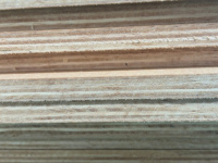 Tablero fenólico de madera contrachapada de abedul de diseño minimalista resistente de fábrica vietnamita de grado DD más vendido para apartamento de almacén