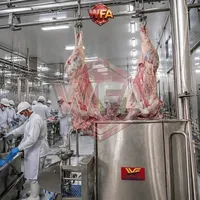 Peralatan Peternakan Sapi Mesin Pemotongan Ternak Mesin Rumah Potong Hewan untuk Lini Pengolahan Daging Sapi