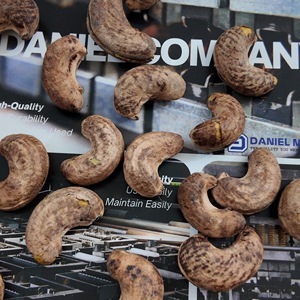 Noix de cajou en gros W320 bio, grillées au sel, 100% naturelles du Cambodge, fabrication OEM/ODM disponible - Product Image 6