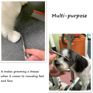 Ciseaux de toilettage incurvés à double crochet pour animaux de compagnie avec bord émoussé et finition terne pour les soins de beauté pour chiens - Product Image 6