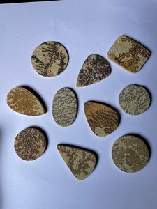 Cabujón de piedra caliza de ágata dendrítica Natural 100% al por mayor, 10 piezas únicas para joyería y decoración del hogar, fabricación de piedras preciosas minerales - Product Image 5