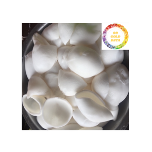 Carne de coco congelada de Vietnam con textura suave y aroma de Coco para fábricas de alimentos y productos de postre - Product Image 4