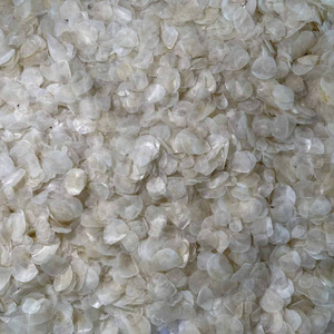 Escamas de pescado seco fabricadas en Vietnam, mejor oferta, escamas de pescado seco, precio más bajo al por mayor - Product Image 2