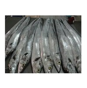 Nastro fresco congelato pesce di alta qualità di esportazione indiana