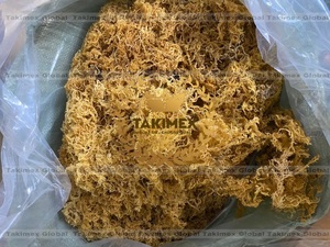 Mousses d'Irlande 100% naturelles de haute qualité en provenance du Vietnam - Product Image 3