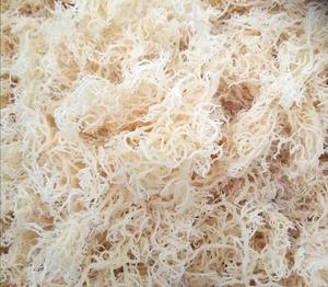 ¡Directo del fabricante! Musgo del Mar de Irlanda 100% Vegano Bajo MOQ La mejor opción para la fabricación de gel ¡El mejor precio para compradores a granel! - Product Image 5