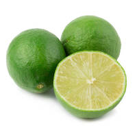 Groothandelsprijs Verse Pitloze Limoen Van Hoge Kwaliteit Groen Natuurlijk Volwassen Fruit 12 Maanden Houdbaar Van Vietnam Exporteur