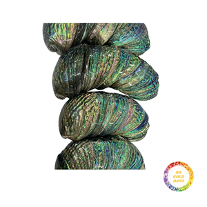 Concha de abulón al por mayor precio asequible proveedor a granel pulido Arco Iris Concha brillante superficie duradera ampliamente utilizado en artesanía - Product Image 5