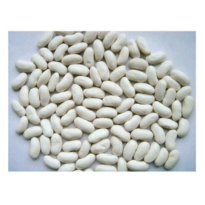 Haricots blancs secs biologiques de haute qualité, en vrac, à bas prix - Product Image 1