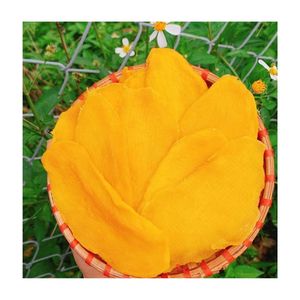 Mangue séchée naturelle de qualité supérieure, douce et faible en sucre, collation, processus de séchage FD, vente exceptionnelle, nourriture de seconde qualité du Vietnam - Product Image 5