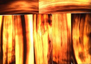 Plates That Separate Light Into Its Spectral for Improving Used to Polarize Highly Buffalo Horn Optical - Product Image 2