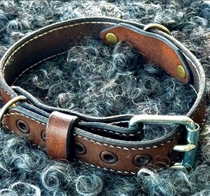 Collar de perro de cuero hecho a mano Collar de perro de cuero verde de alta calidad para galgo y Whippet - Product Image 1