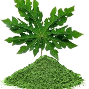 Feuilles de papaye pour stimuler l'immunité - Product Image 5