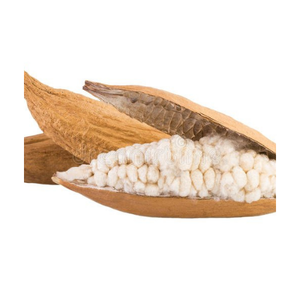 KAPOK POD TIENE UNA GRAN CANTIDAD DE EXPORTACIÓN DE ALTA CALIDAD DE PROVEEDORES VIETNAMES/Sra. Thi - Product Image 2