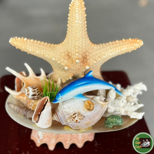 Décoration artisanale en coquillages naturels pour la décoration intérieure et les fournitures de artisanat sur mesure, Vietnam - Product Image 5