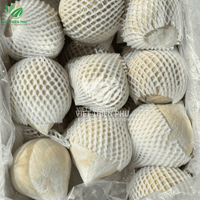 Hoge Kwaliteit Verse Kokosnoot Rechtstreeks Uit Vietnam Semi/Gepeld Fruit Directe Levering
