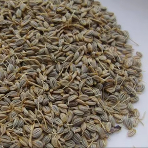 Semillas de perejil Petroselinum crispum - Product Image 1