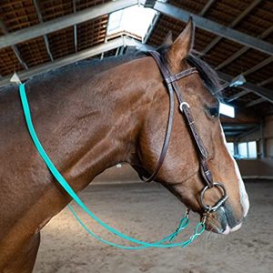 Mart-rizos cerrados de plomo rganic, repelente al agua y suciedad multifuncional - Product Image 3