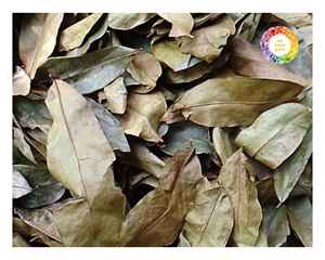 Feuilles naturelles de Graviola du Vietnam Ingrédient de thé au corossol de qualité supérieure emballé hygiéniquement pour les acheteurs en gros et au détail dans le monde - Product Image 3