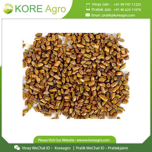 Semillas de Cassia Tora frescas de grado superior de la mejor calidad, extracto de hierbas cultivadas silvestres, embalaje de tambor, suministro directo a granel de la India - Product Image 2