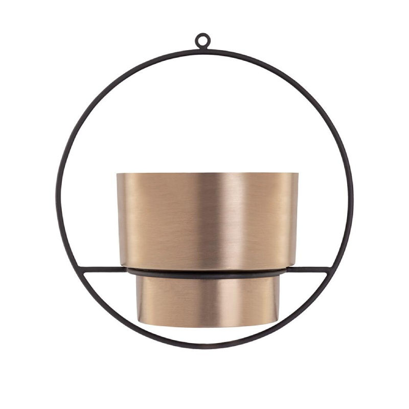 ตามที่แสดง