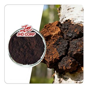 Abd ab depo mantar meyve organları özü şaga mantar tozu - Product Image 1
