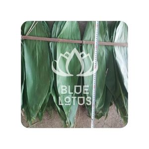 MEILLEUR PRIX Feuilles de Bambou Lotus Bleu 2025 – Lot de Feuilles Naturelles Propres - Product Image 1