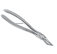 Pince d'extraction de dents dentaires en acier inoxydable de haute qualité, motif anglais Fig. #51 Fabricant d'instruments dentaires