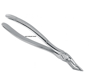 Fórceps de extracción de dientes dentales de acero inoxidable de alta calidad Patrón inglés Fig. #51 Fabricante de Instrumentos dentales - Product Image 2