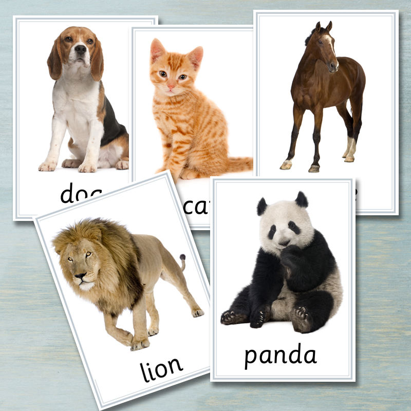 Adapté aux besoins du client