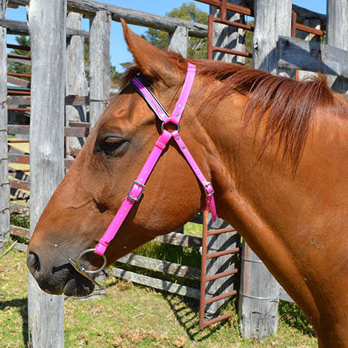 สีน้ำตาล