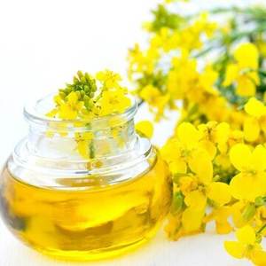 น้ำมันเรพซีดแบบไม่ใช้ GMO ที่กินได้ - Product Image 6