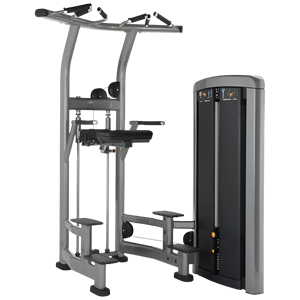 อุปกรณ์ช่วยยกตัวแบบพกพา ยี่ห้อ Insignia รุ่น Chin up Dip Assist Station สำหรับฝึกความแข็งแรงของร่างกายส่วนบนในโรงยิมและห้องฟิตเนส - Product Image 1