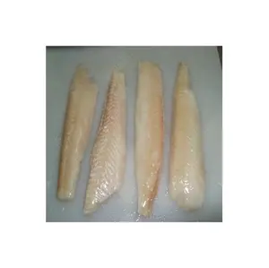 Großhandel Günstigster Preis Lieferant von Kabeljau filet Haut-und Knochen los | Bulk Frozen Whole Atlantic Kabeljau Fisch Fisch für den Export