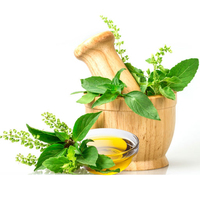 Aceite esencial puro 100%, venta al por mayor a granel, aceite de albahaca sagrada con muestra gratis, precio de fábrica, etiquetado privado, ingrediente de árbol de té