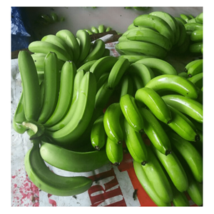 Venta al por mayor 100% Natural Fresh: BANANAS Cavendish frescas-productos de exportación de alta calidad en todo el mundo - Product Image 5