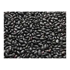 Frijoles negros de estilo seco verde y saludable de alta calidad, frijol rojo británico orgánico certificado de riñón, proteína rica Dar - Product Image 5