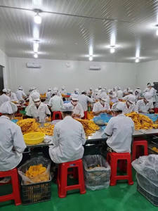 ข้อเสนอสุดพิเศษสําหรับการขายส่งผลไม้มะม่วงอบแห้งคุณภาพพรีเมี่ยมแสนอร่อยสําหรับขายราคาถูกและนุ่ม - Product Image 5