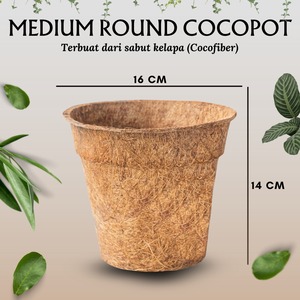 Eco-Friendly AGP Cocofiber Coconut Pot Made From Coco Fiber Cocopeat Free <b>Plastic</b> 2 Year <b>Shelf</b> Life Indonesia for Crafts Plants - Product Image 2