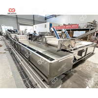 Gelgoog Automatische Bellenwasmachine voor Groenten, Appels, Mango's, Fruit en Groenten, inclusief reiniging, drogen, sorteren en verpakken.