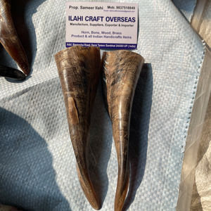 เขาแพะคู่ คู่เขาธรรมชาติสำหรับตกแต่งและงานฝีมือ คุณภาพสูง - Product Image 1