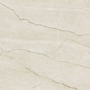 รับกระเบื้องพอร์ซเลนขนาด600x600มม. จากอินเดียผู้ผลิตที่เชื่อถือได้บริษัทชั้นนำสำหรับการผลิตกระเบื้องในอินเดีย - Product Image 5