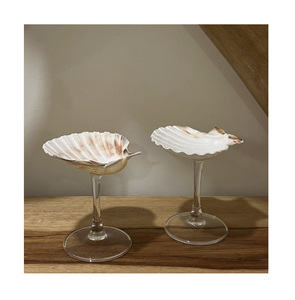 Elegantes tazas Seashell Diseño contemporáneo para espacios modernos - Product Image 1