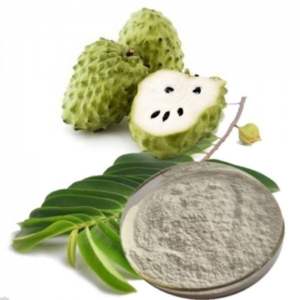 Le Vietnam a lyophilisé la poudre de fruit de corossol avec la qualité et le meilleur prix - Product Image 2