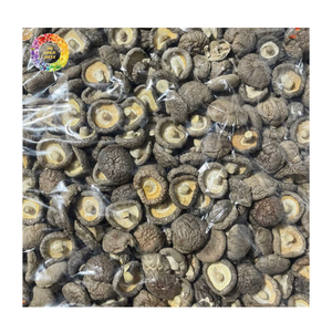 Champignons Shiitake séchés de qualité supérieure, champignons chinois naturels pour la fabrication alimentaire, champignons séchés de haute qualité spéciaux pour les soupes - Product Image 4