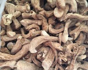 100% SHIITAKE SÉCHÉ BIOLOGIQUE/RICHE EN ANTIOXYDANT/AMIS DES VÉGANES/SANS ADDITIFS - Product Image 5