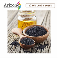 Graines de cumin noir riches en huile certifiées ISO, granulés secs, épice masala, herbe brute transformée