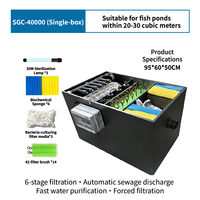 Équipement de filtration pour bassin rectangulaire extérieur, système de purification d'eau automatique 220V pour aquariums de carpes koï et applications aquacoles