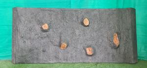 Panel de pared de fibra decorativa FRP con acabado de madera para revestimiento interior y exterior para festividades de Diwali - Product Image 3