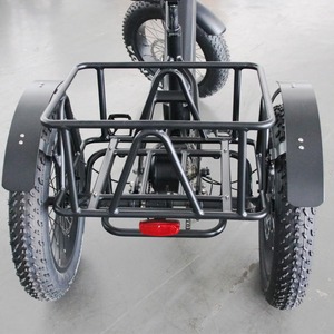 EJI 2024 Nueva Bicicleta Eléctrica de Carga de 3 Ruedas con Neumáticos Gruesos de 7 Velocidades y Neumáticos para Nieve, Bicicleta Eléctrica Multiusos - Product Image 1